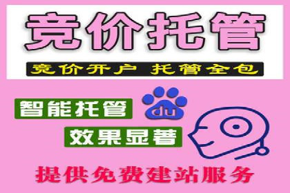 SEM竞价代运营实战技巧与案例